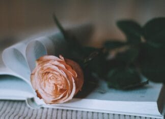 Historia jednej wsi – jak powstało tam CER?