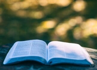 Konkurs fotograficzny: „Moja Mała Ojczyzna” – jak to zrobić?