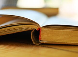 Gdzie znaleźć mentora tradycji regionalnych?