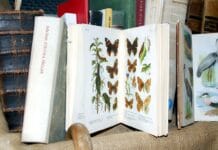 Jak uczniowie mogą dokumentować dziedzictwo swojej wsi lub miasta?