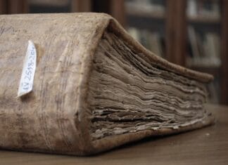 Miłość do miejsca – co łączy mieszkańców z ich ziemią?